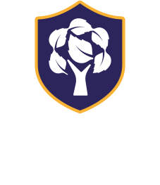 Elm Academy